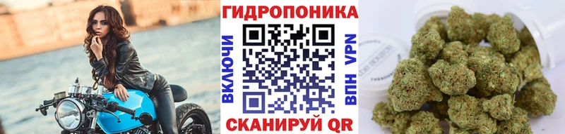 Купить закладки  Каргат  Бошки марихуана Amnesia 